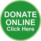 donate now button example